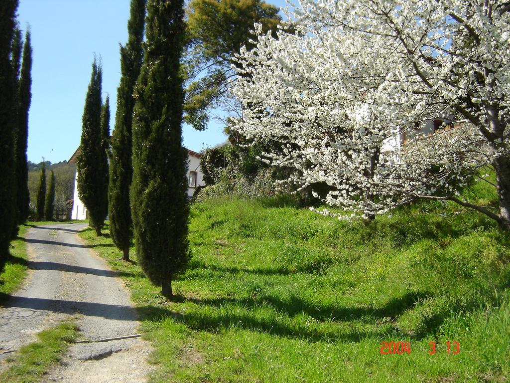 Podere"Sulle Soglie Del Bosco" Appartament And Rooms Pescia Bagian luar foto