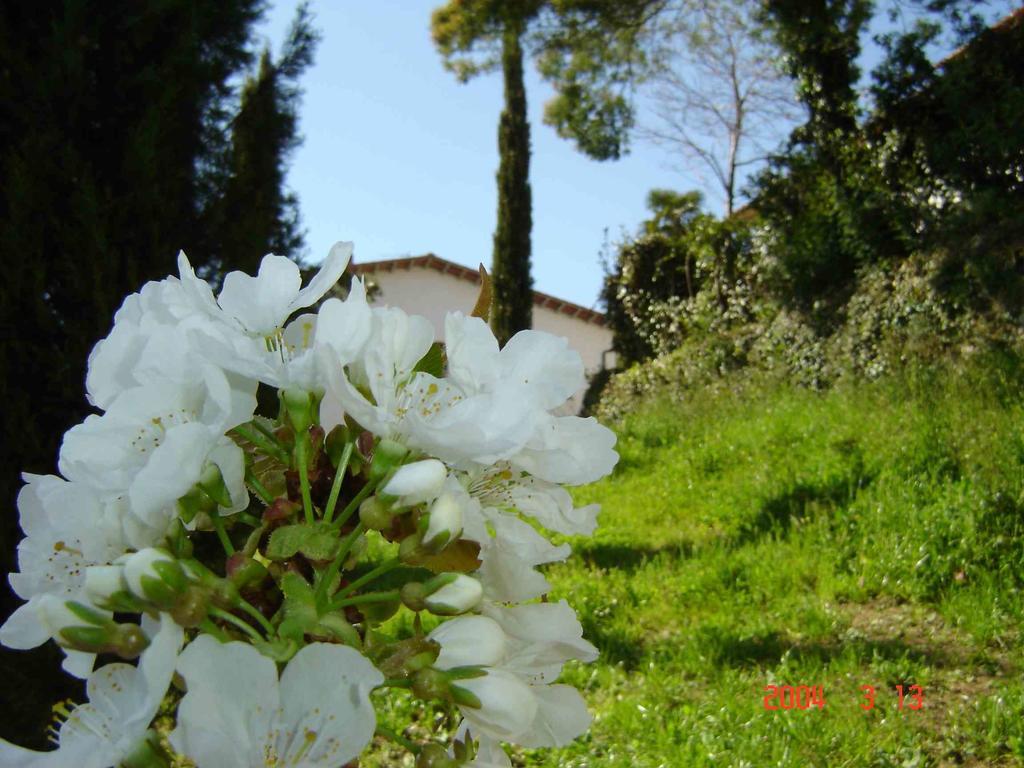 Podere"Sulle Soglie Del Bosco" Appartament And Rooms Pescia Bagian luar foto