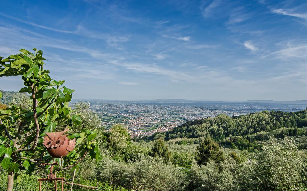 Podere"Sulle Soglie Del Bosco" Appartament And Rooms Pescia Bagian luar foto