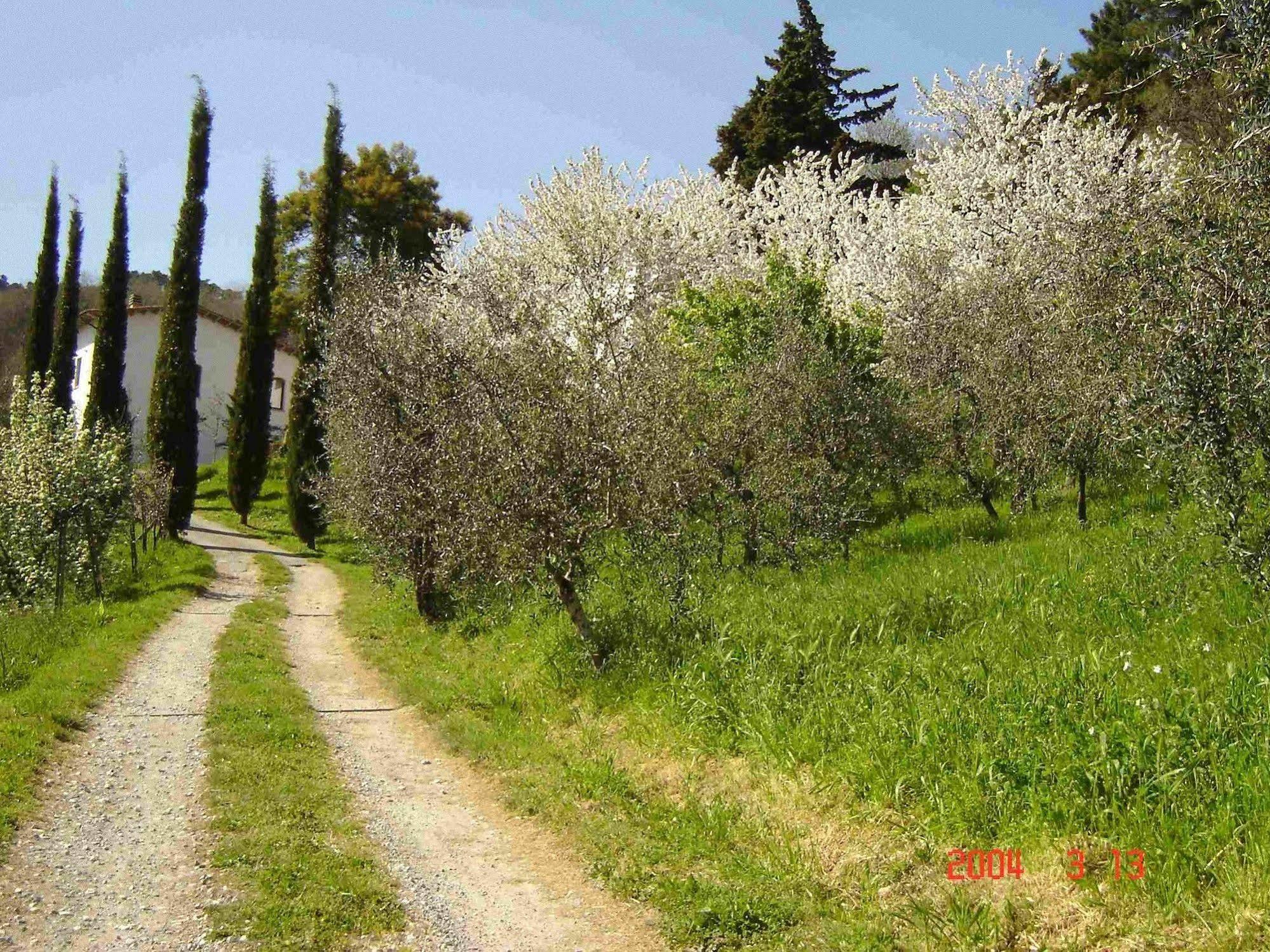 Podere"Sulle Soglie Del Bosco" Appartament And Rooms Pescia Bagian luar foto